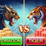 dragon vs tiger game icon